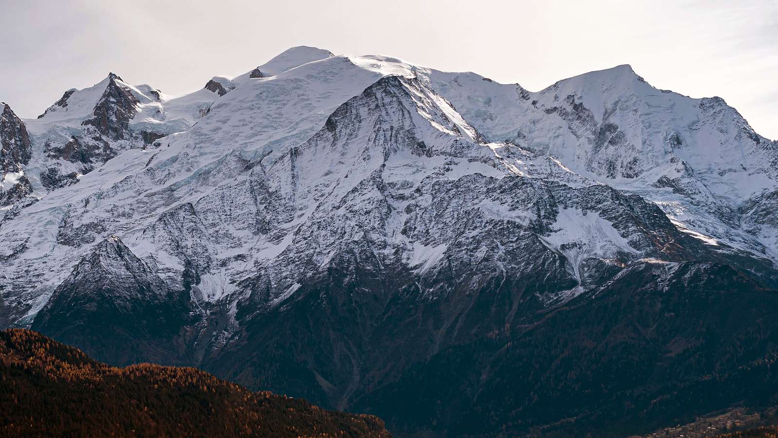 Le massif du Mont Blanc vu de la vallée, au-dessus d'une forêt de mélèzes